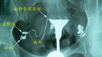 重慶送子鳥醫(yī)院