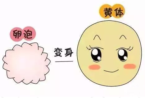 重慶送子鳥醫院