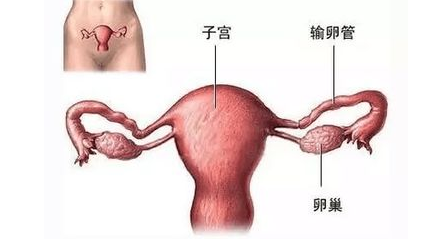 重慶送子鳥醫院