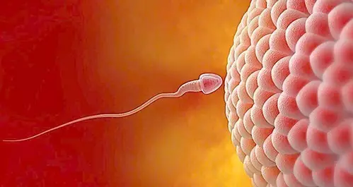 重慶送子鳥醫(yī)院