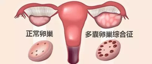 重慶送子鳥醫院