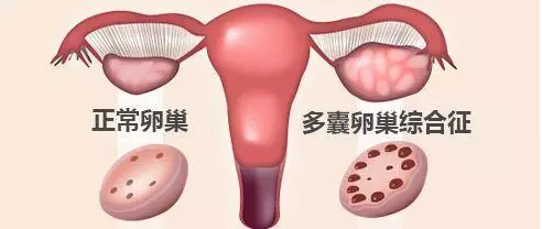 重慶送子鳥醫院
