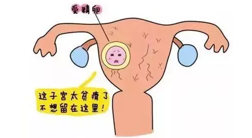 重慶送子鳥醫院