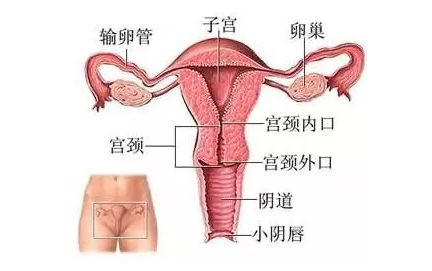 重慶送子鳥醫(yī)院