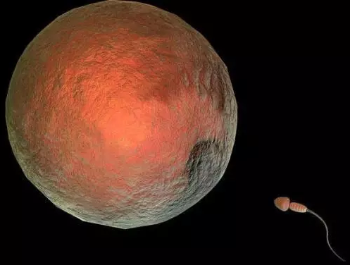 重慶送子鳥醫院