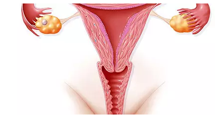 重慶送子鳥醫院