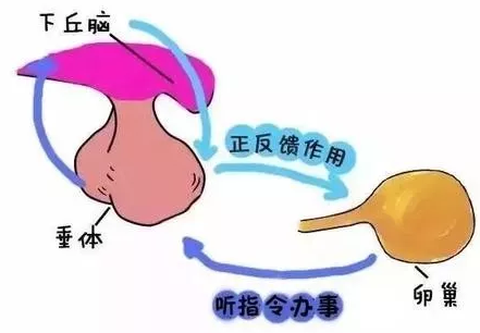 重慶送子鳥醫院