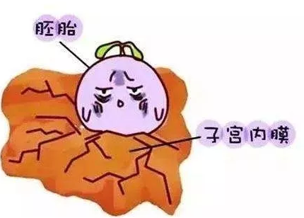 重慶送子鳥醫(yī)院