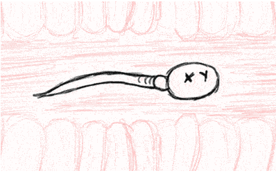 重慶送子鳥醫(yī)院