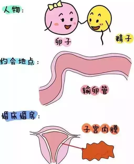 重慶送子鳥(niǎo)醫(yī)院