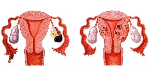 重慶送子鳥醫(yī)院