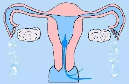 重慶送子鳥醫院